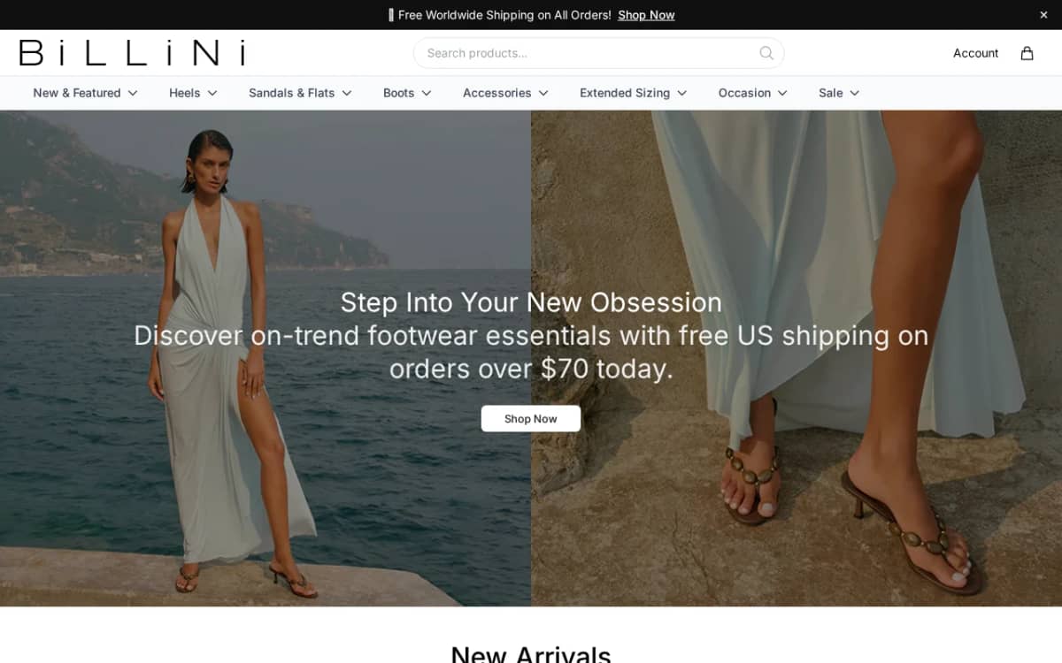 Screenshot of the billinistore.shop store